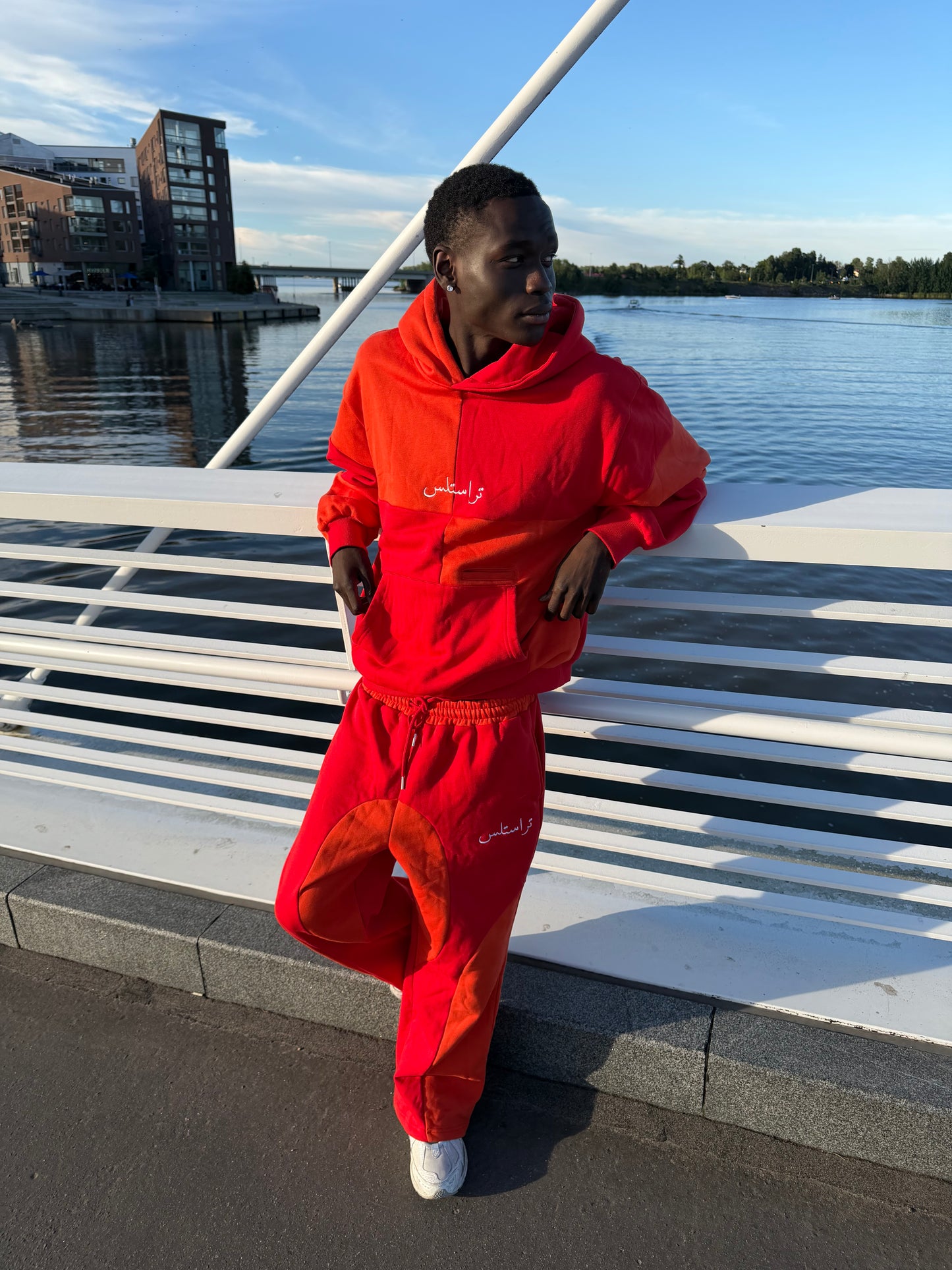 TRUSTLESS NAR HOODIE